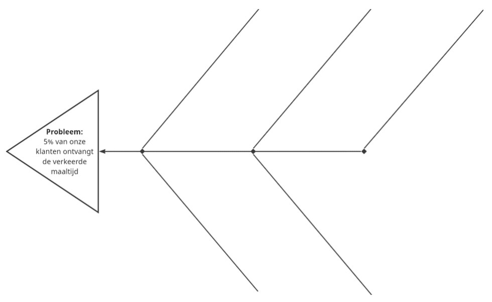 Het gebruik van de Ishikawa-methode Afbeelding1